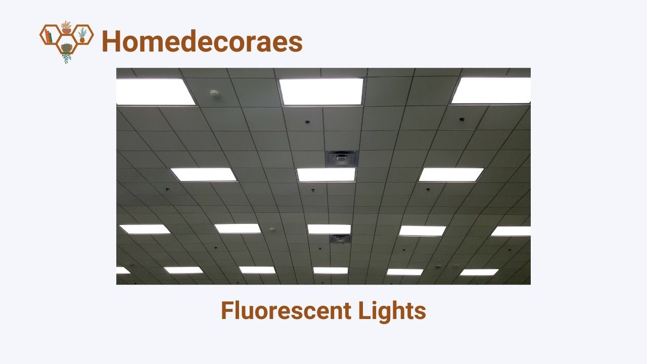 Fluorescent Lights